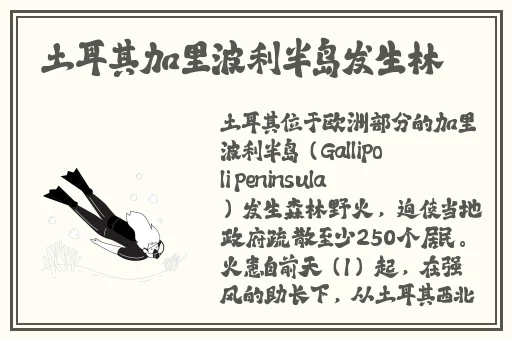 一个 B一个 3人个人换着